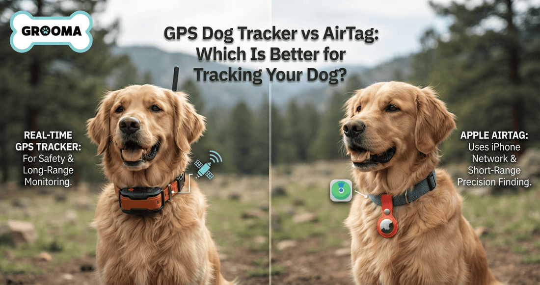 GPS Dog Tracker vs AirTag: Which Is Better for Tracking Your Dog?