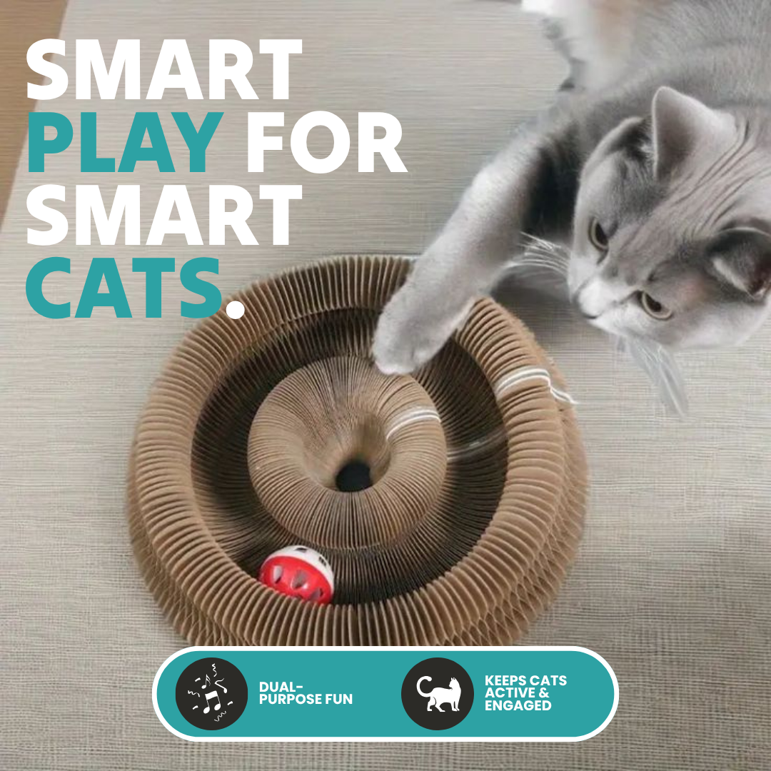 Kitten Curls Intercative Cat Scratching Toy