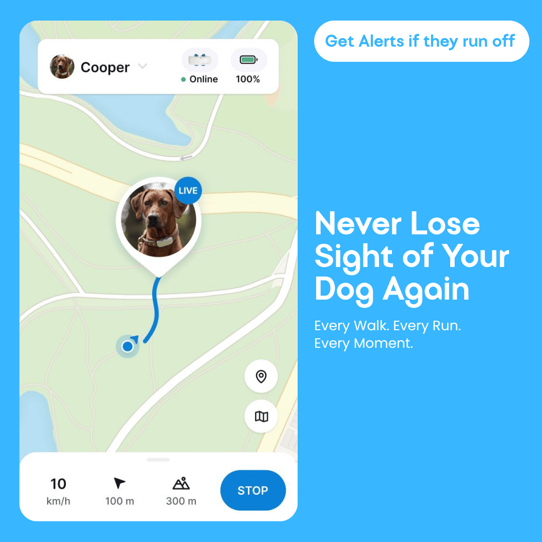GroomaPro™ Smart GPS Pet Tracker