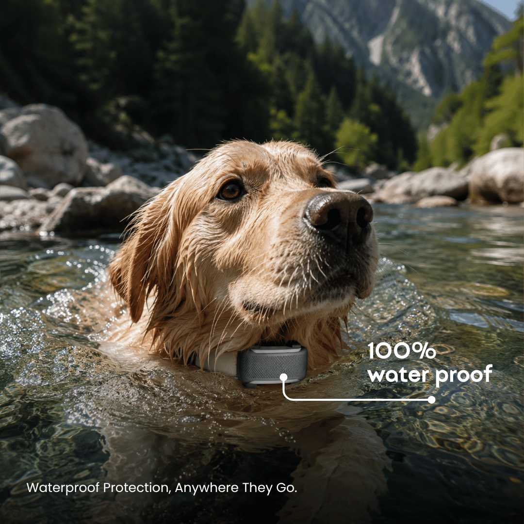 GroomaPro™ Smart GPS Pet Tracker
