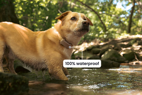 GroomaPro™ Smart GPS Pet Tracker